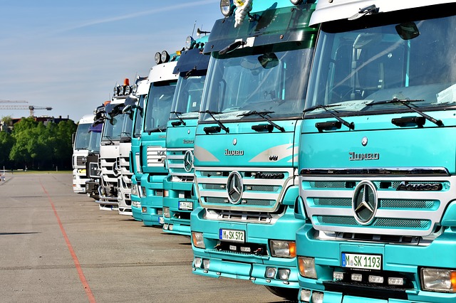 jak wybrać transport drogowy